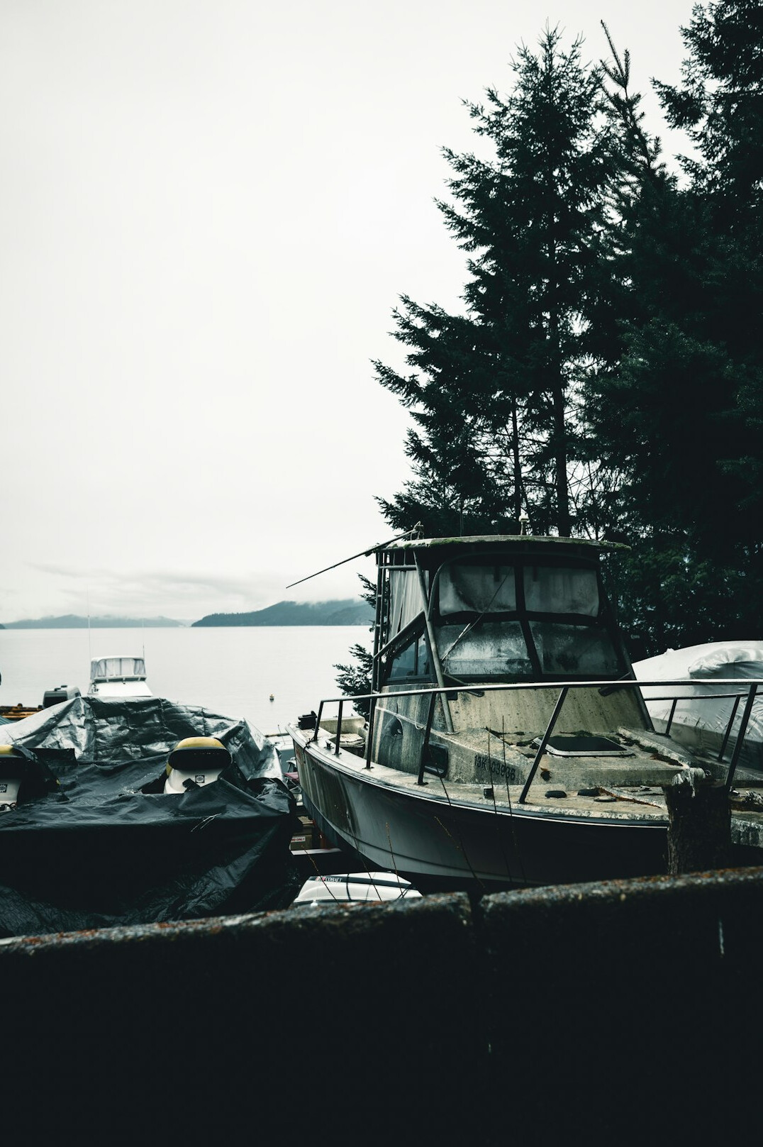 Fishing boats docked in a coastal British Columbia village surrounded by forest