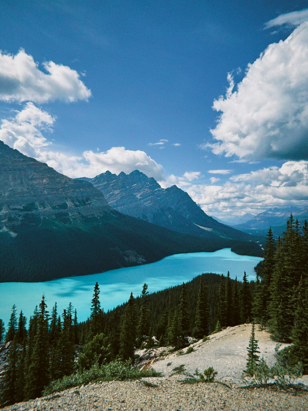 Hiker on a mountain trail overlooking a turquoise lake in the Canadian Rockies